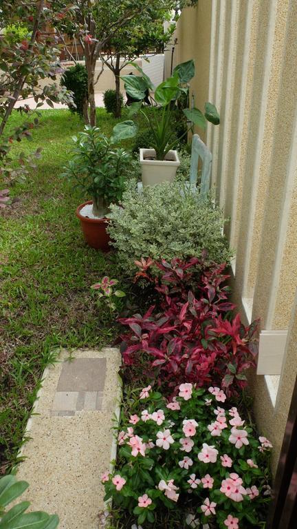 Taitung Hana Homestay מראה חיצוני תמונה