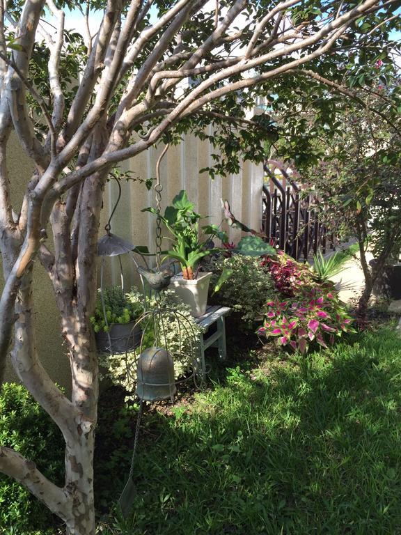 Taitung Hana Homestay מראה חיצוני תמונה
